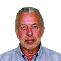 João António Florindo Rodrigues